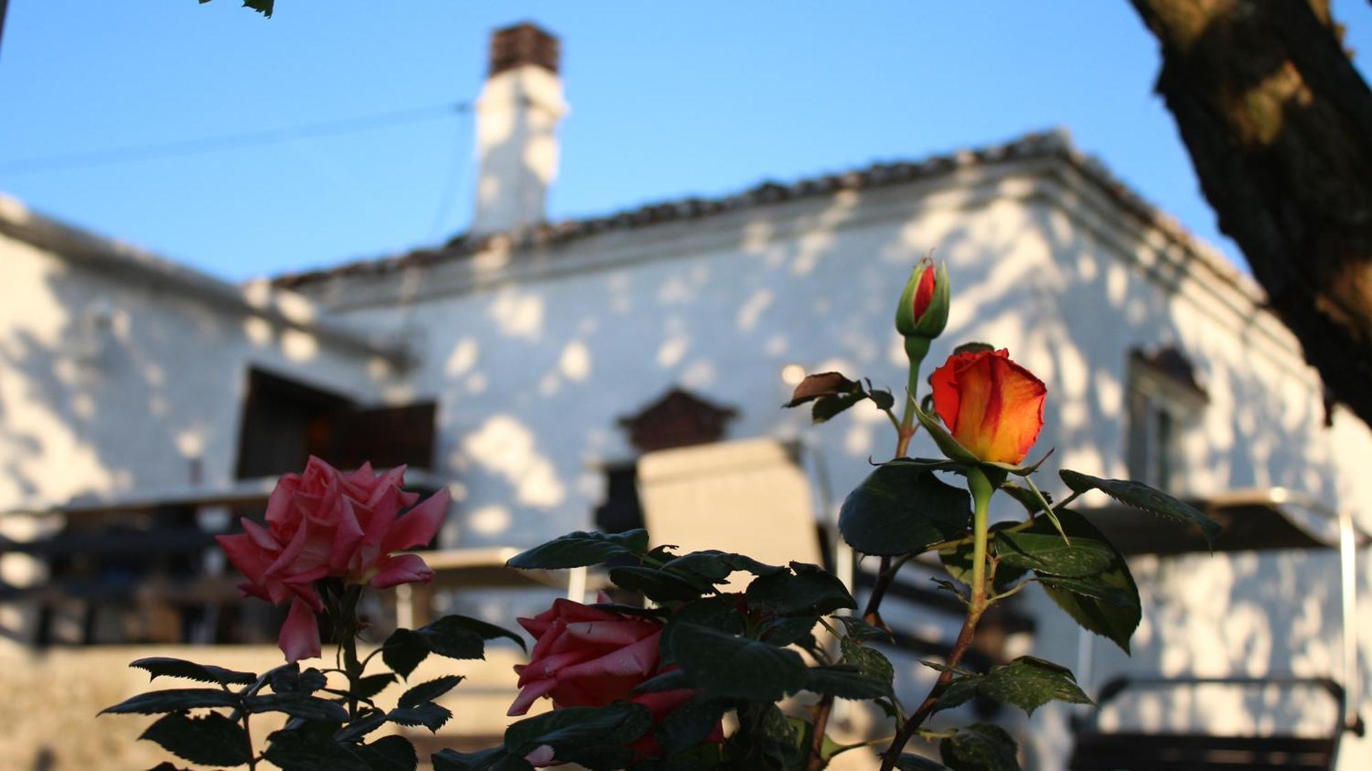 "Per Mik" Cottage In Vineyard شكودر المظهر الخارجي الصورة